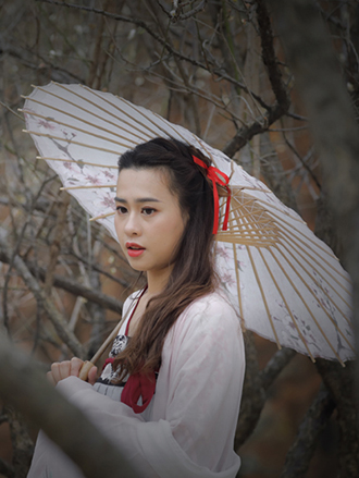 梅花盛开美人来