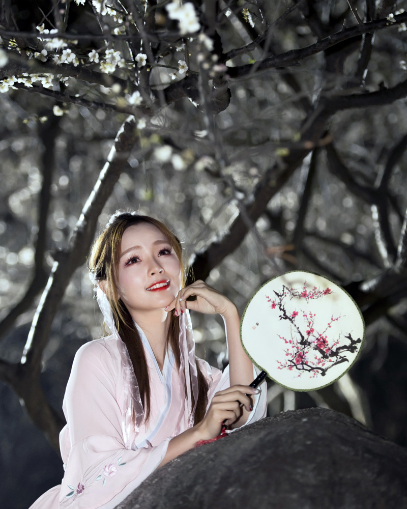 102b-霜雪美人暗自芳.jpg