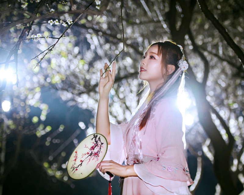 102c-霜雪美人暗自芳.jpg